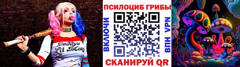 хочу наркоту  Камышин  Псилоцибиновые грибы Cubensis 